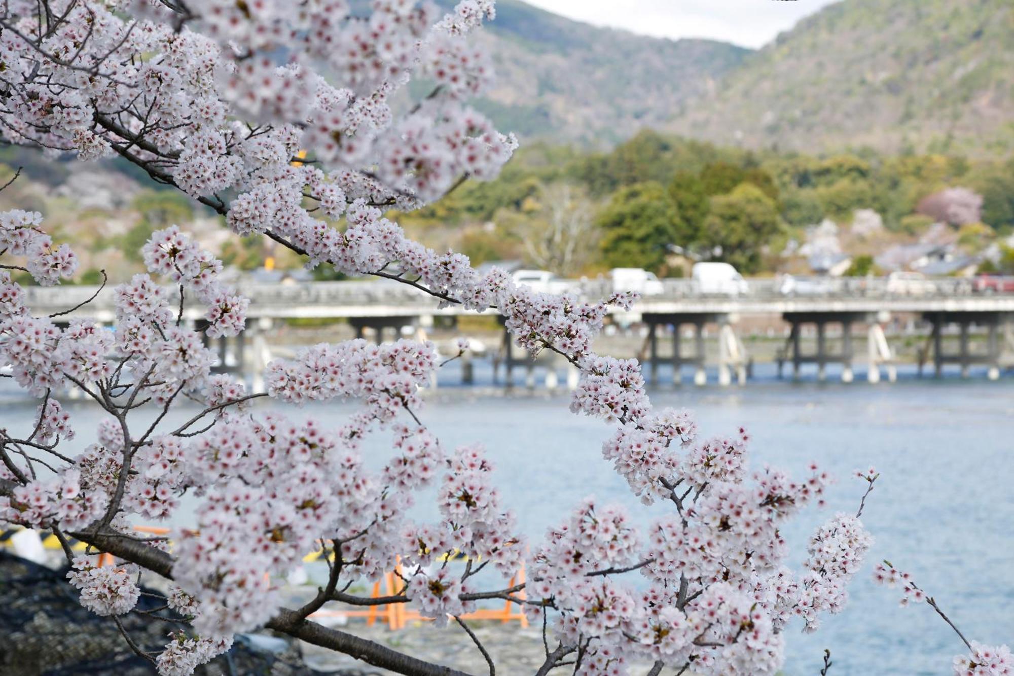 Kyoto Arashiyama Onsen Ryokan Togetsutei Экстерьер фото